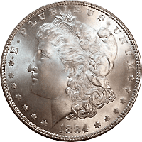 1884 Morgan Silver Dollar