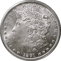1891 CC Morgan Silver Dollar