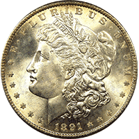 1891 Morgan Silver Dollar